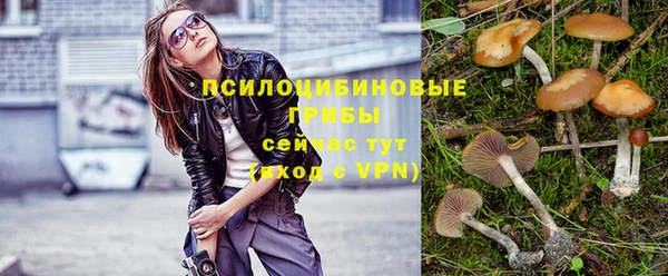 гашик Пролетарск
